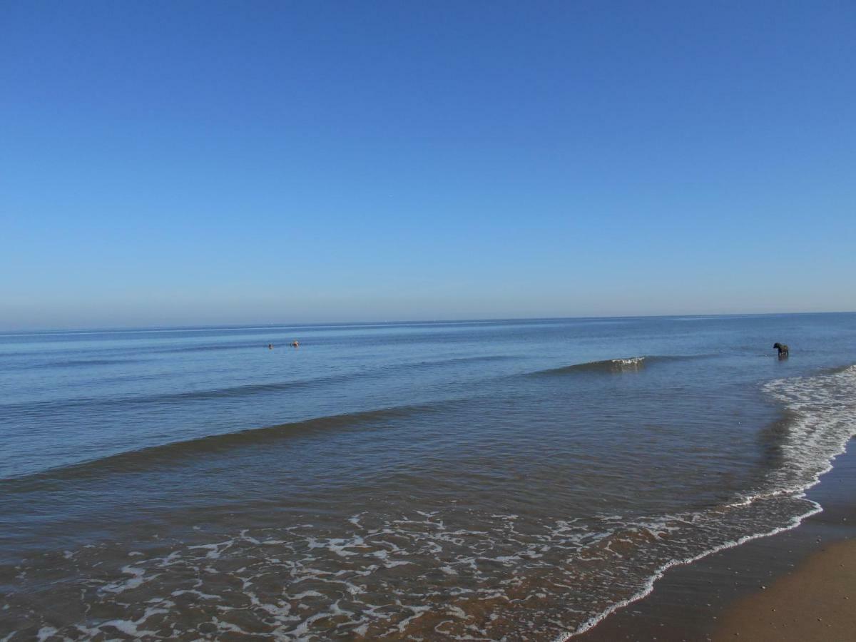 Zomerhuis Wonders Zandvoort Kültér fotó